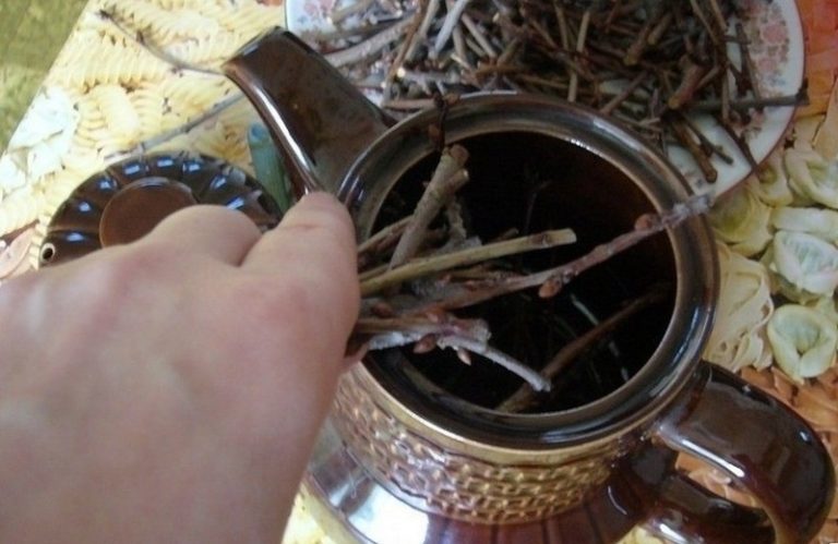 Чай з гілок вишні: користь, шкода та правила заварювання